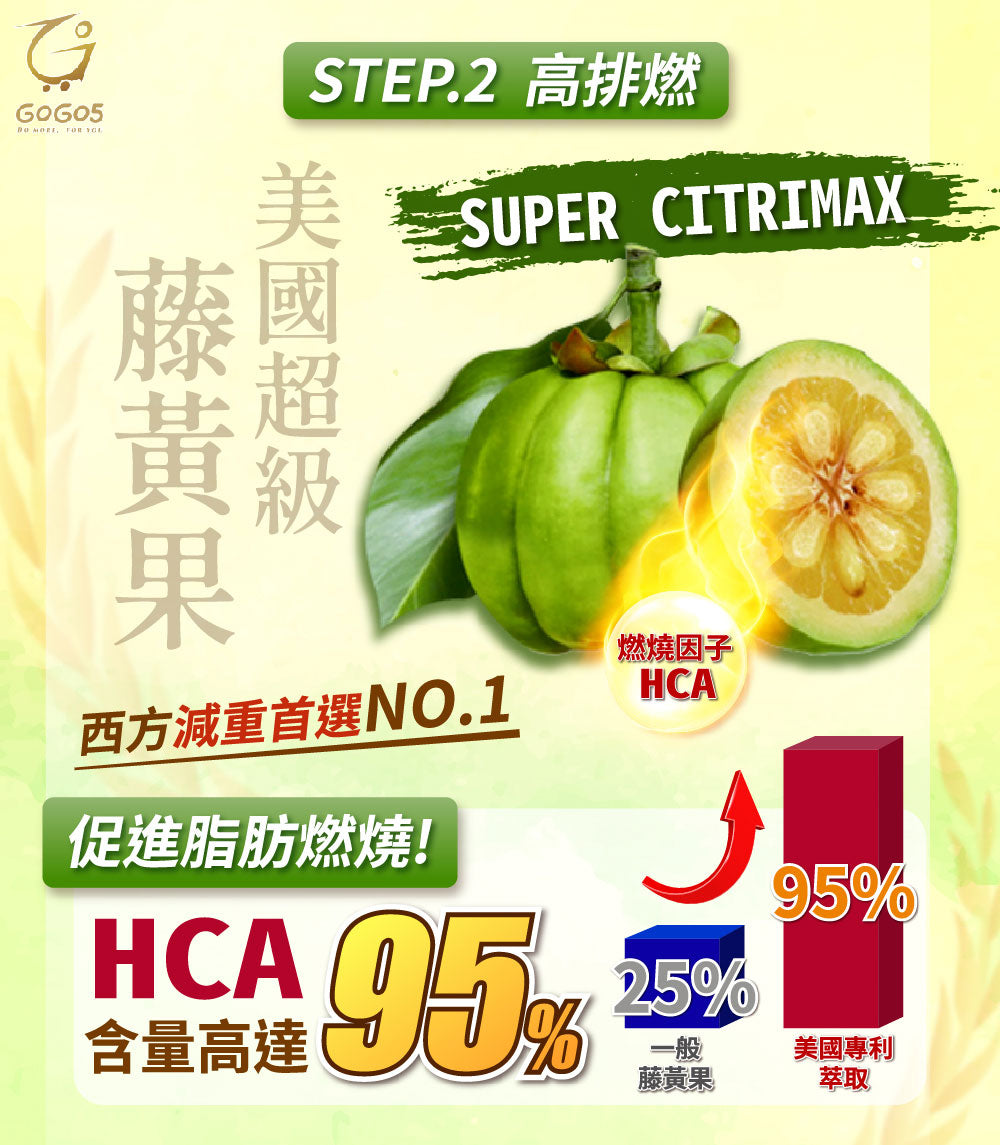 "12+1 優惠" 七日孅 - 玄米煎茶 代謝茶【12盒裝】(7包/盒)|順暢代謝 × 排毒消腫 × 養生冷泡茶 × 無糖茶包飲品