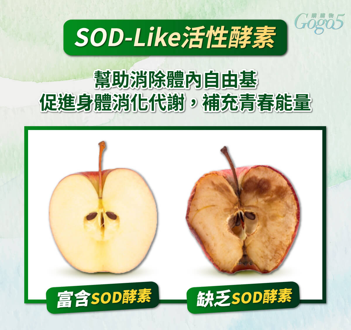 家家生醫 - 享順暢 - VESP-136 蔬果酵素益生菌(15包/盒)|天然排毒 × 輕鬆通便 × 宿便掰掰!#纖體 #減肥 #便秘 #保健品 #消脂瘦身 #營養補充劑