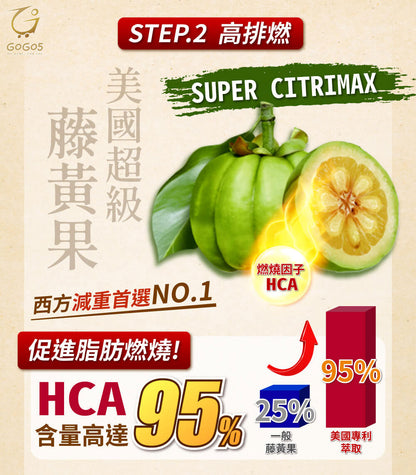 "12+1 優惠" 七日孅 - 原味代謝茶【12盒裝】（7包/盒）｜順暢代謝 × 排毒消腫 × 養生冷泡茶 × 無糖茶包飲品